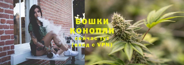 эйфоретик Гусев