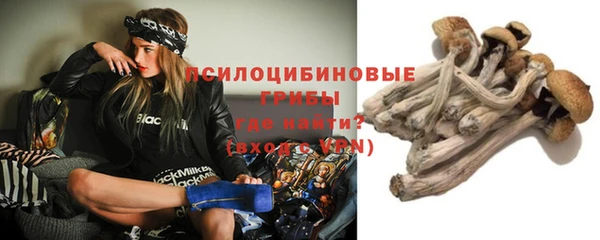 не бодяженный Гусиноозёрск