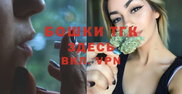 эйфоретик Гусев