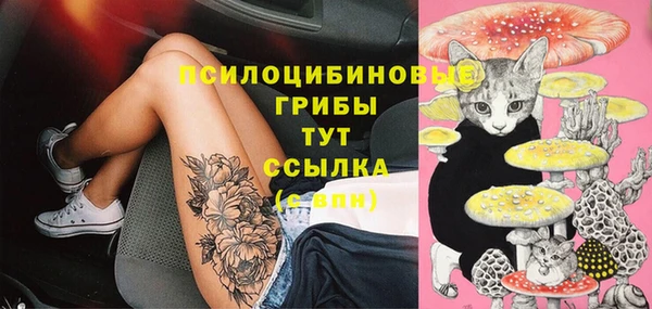 эйфоретик Гусев